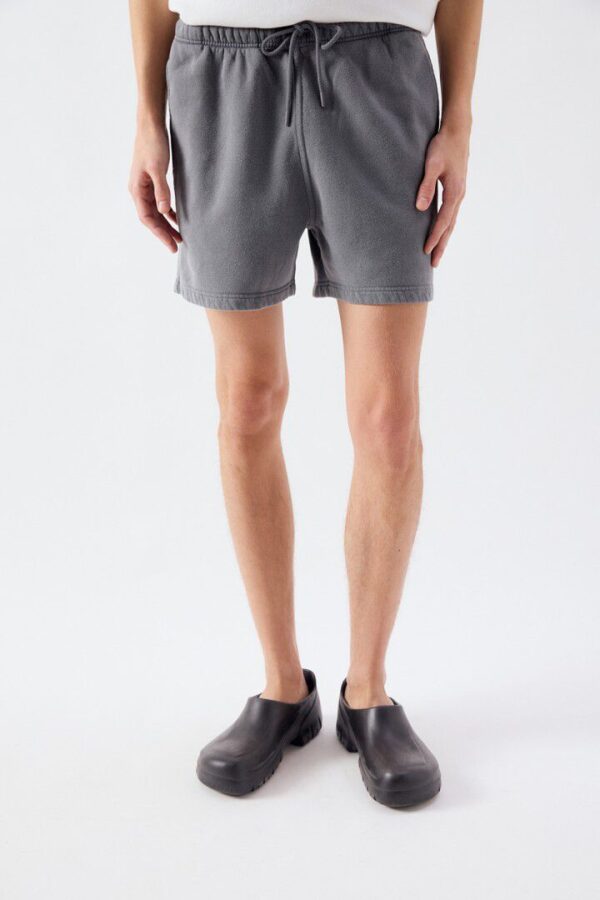 Men's Plizzy Shorts Ash